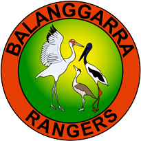 Balanggarra Rangers Logo